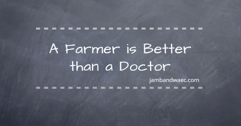 argumentative essay on a doctor is better than a farmer